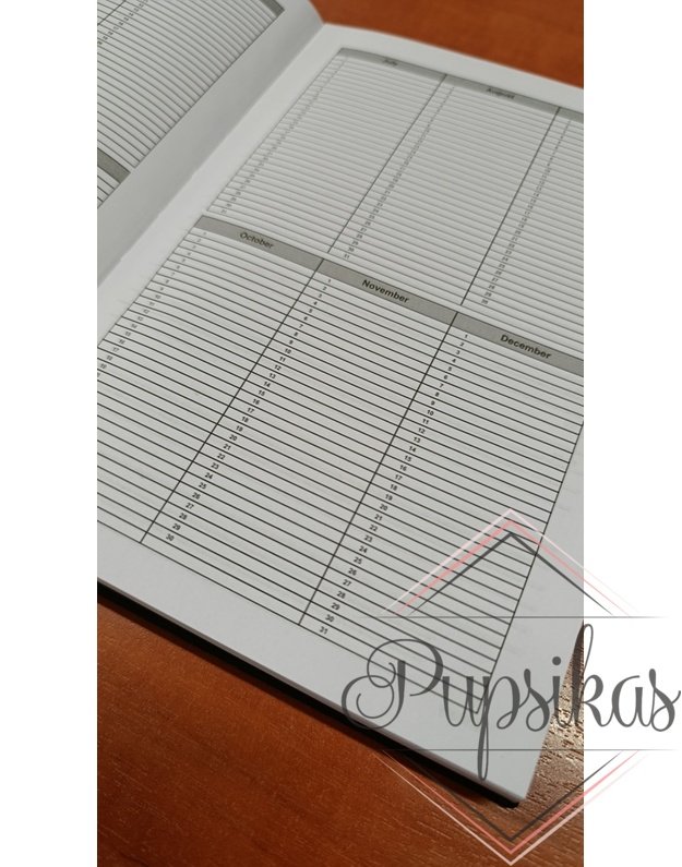 Darbo kalendorius „Monikos grožis, planai ir šiek tiek dramų“ (Su jūsų pasirinktu vardu) 3