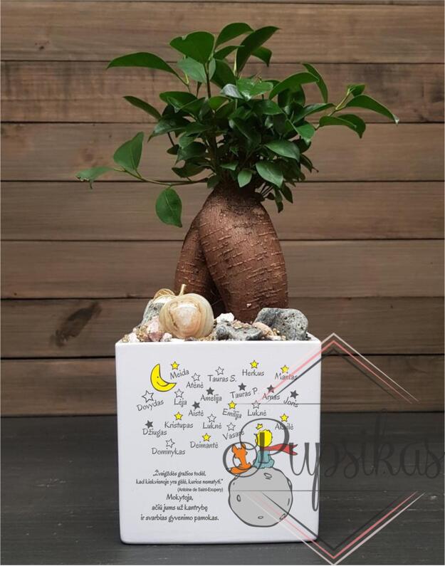 Vazonas PLN su spauda ir mažuoju princu „Mokytoja, ačiū jums už kantrybę“ su jūsų tekstu