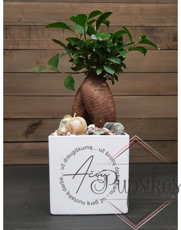 Vazonas PLN su spauda Mokytojai „Ačiū už kantrybę, už pamokas“