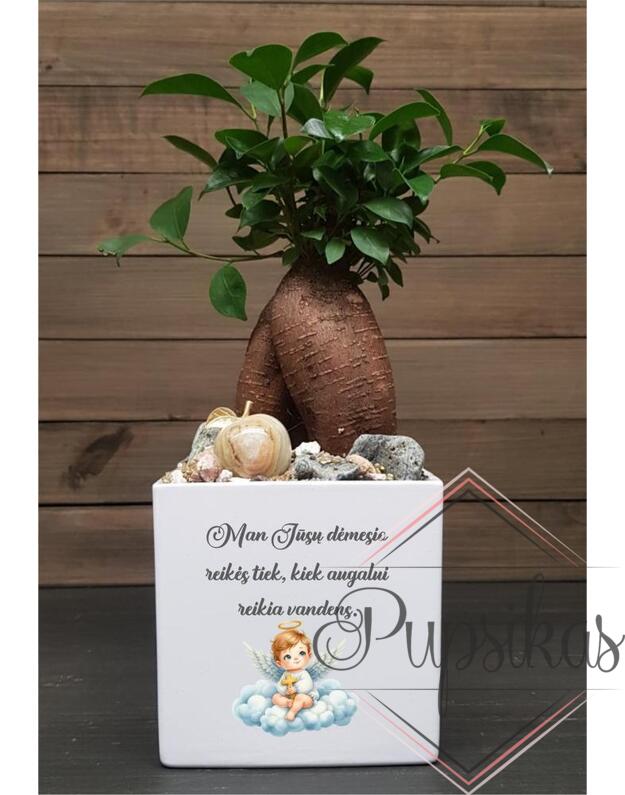 Vazonas PLN su spauda „Man jūsų dėmesio reikės tiek, kiek augalui reikia vandens“